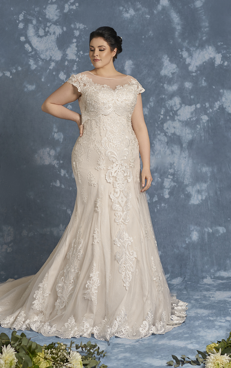 jacqueline's bridal boutique